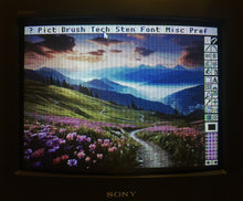 Load image into Gallery viewer, ESP32 SoftCard Expansion Card for the Apple II